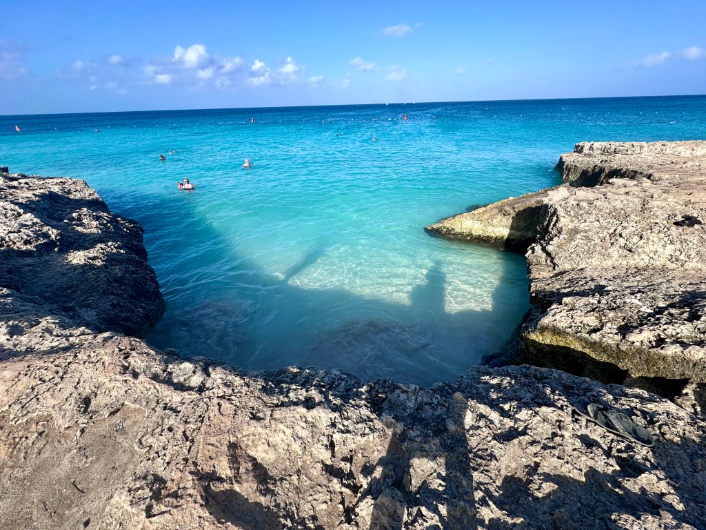 Tres Trapi, Sea Turtle, Aruba, Snorkel